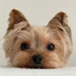 Meet your Posher, Johnny